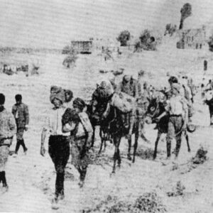 Armenian Genocide: True or False